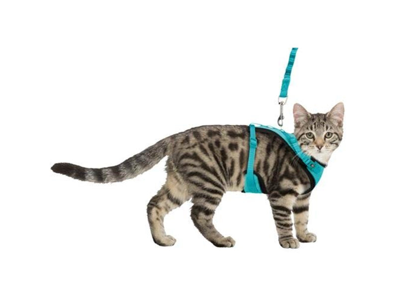 Trixie Mesh Y-Harness with Lead 39–60 cm/10 mm assorted colours