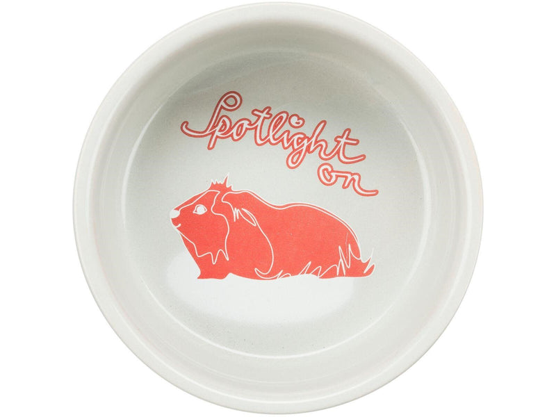Trixie Ceramic Bowl guinea pig 250 ml/ø 11 cm assorted colours