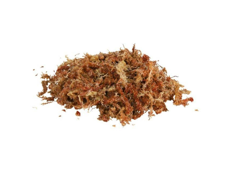 Trixie Terrarium moss 100 g
