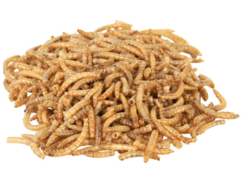 Trixie Mealworms dried 70 g