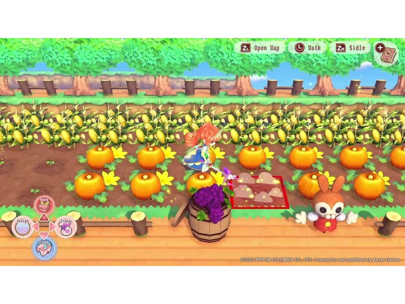 Pretty Princess Magical Garden Island - Nintendo Switch - Virtual Life - PEGI 3