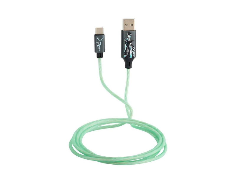 Harry Potter - USB A to C Light-Up 1.2m