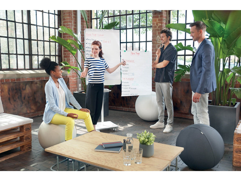 Nobo Premium Flipchart Paper Pad 600x890mm Reversible Plain or Gridded Paper 50 sheet 90gsm 1 Pack Rolled