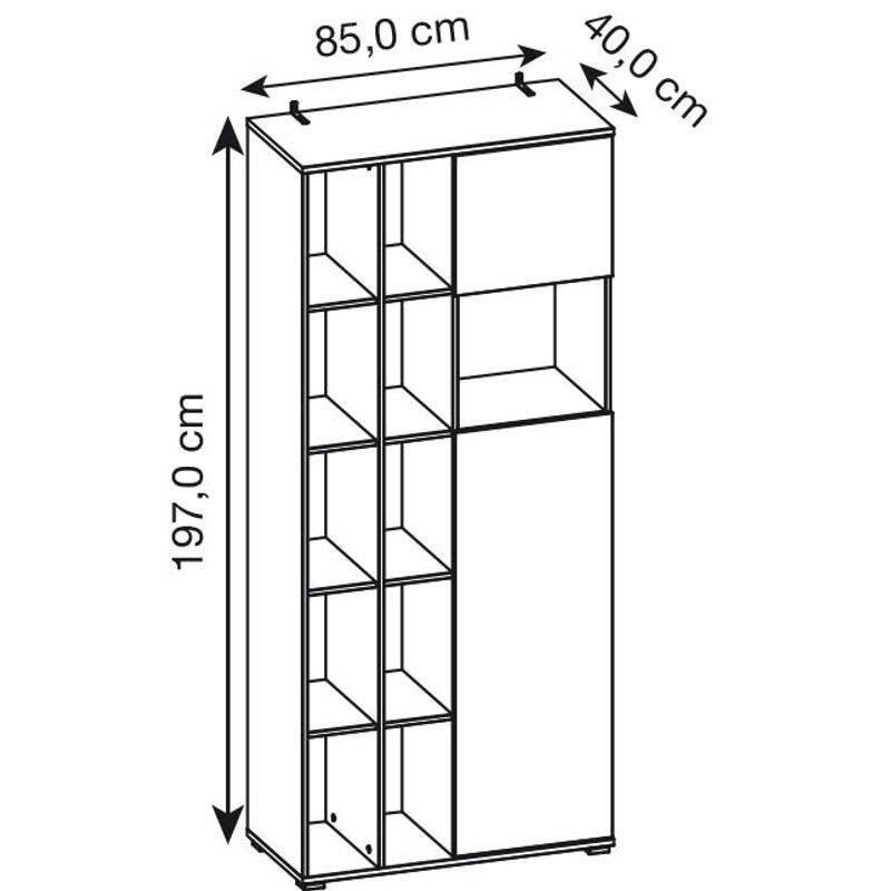 GERMANIA GW-LIONI Aktenschrank 4196-513 - 197cm Höhe - weiß/navarra-eiche