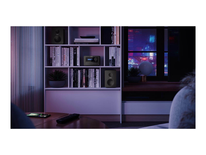 Sharp XL-B520D - micro system