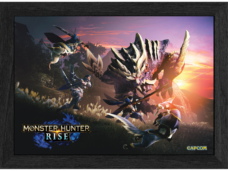 Pixel Frames - Plax Monster Hunter - Bild