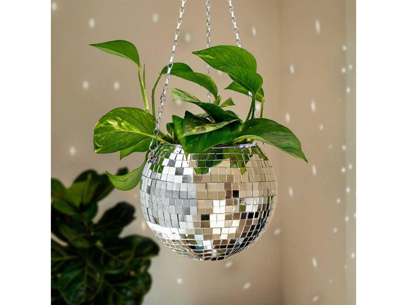 Mikamax Funky Disco Planter