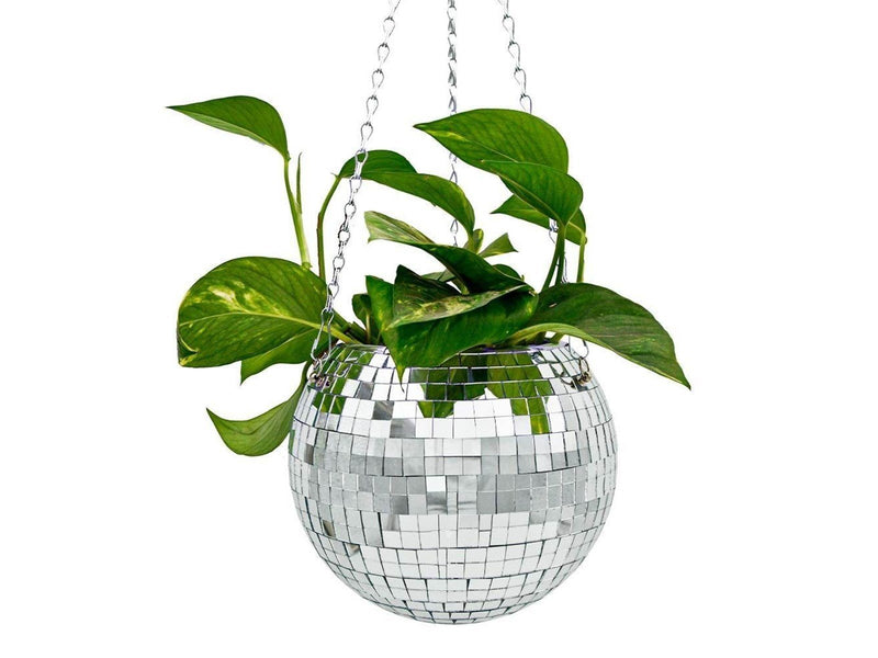 Mikamax Funky Disco Planter