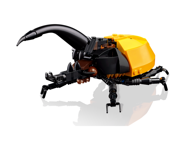 LEGO Ideas 21342 Die Insektensammlung