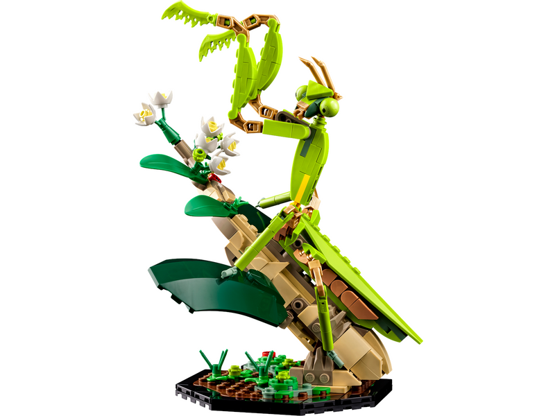LEGO Ideas 21342 Die Insektensammlung