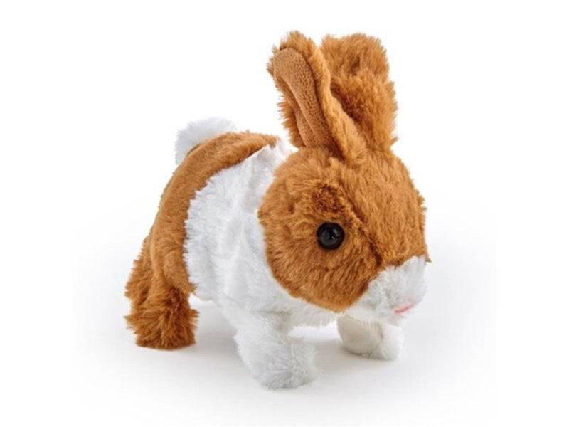Happy Pets Teeny Weeny Bunny 3 (Assorted)