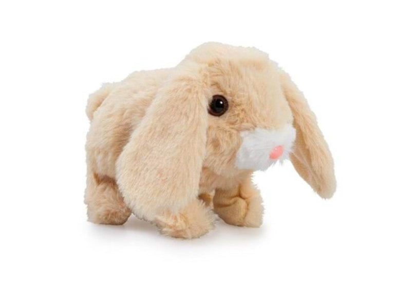 Happy Pets Teeny Weeny Bunny 3 (Assorted)