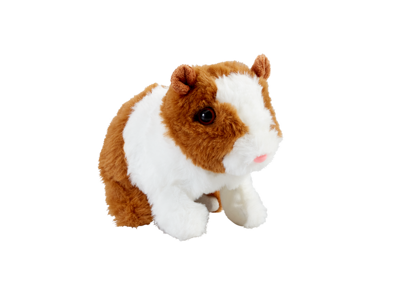 Happy Pets Guinea Pig