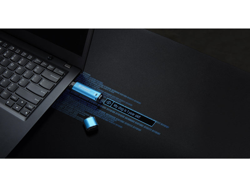 Kingston IronKey Vault Privacy 50 - 512GB - USB-Stick