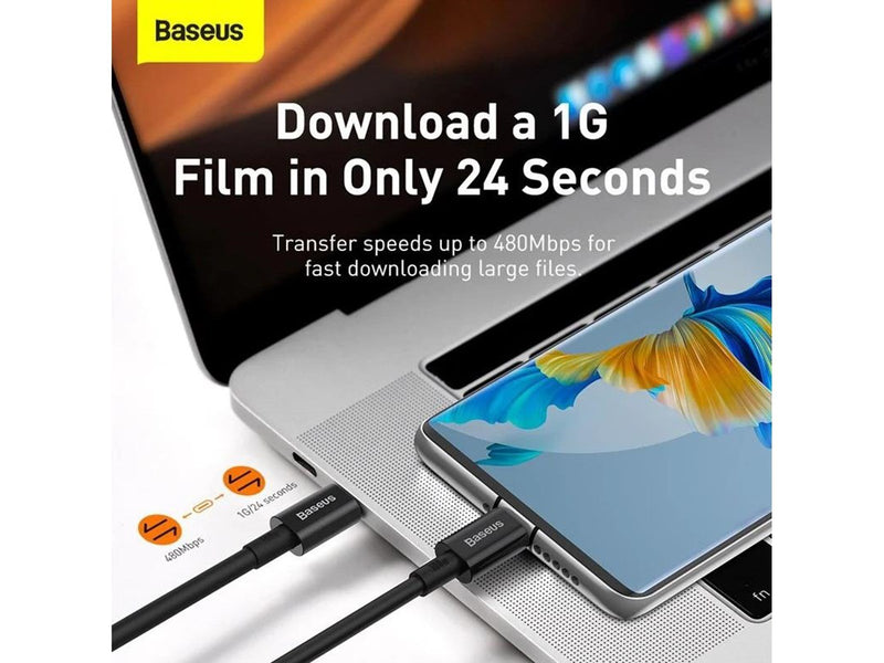 Baseus Superior Series Cable USB-C to USB-C 100W 2m (black)