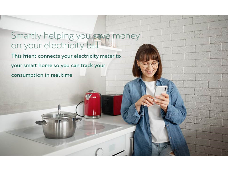 frient Electricity Meter Interface Norwegian HAN