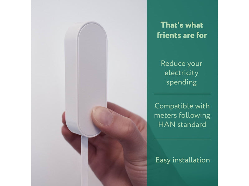 frient Electricity Meter Interface Norwegian HAN