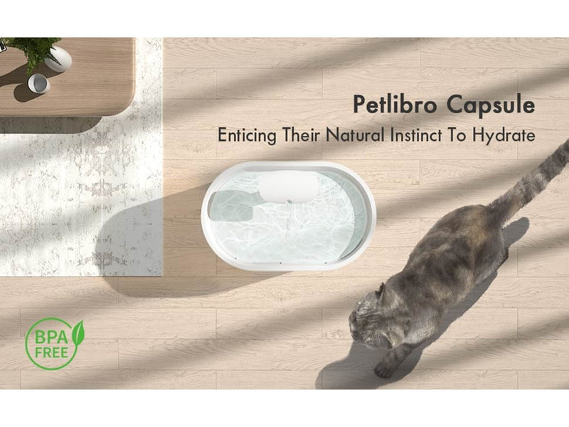 Pet Libro CAPSULE WATER FOUNTAIN BLUE-UK&EU ADAPTER