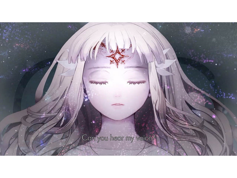 ENDER LILIES: Quietus of the Knights - Nintendo Switch - Role playing game (RPG) - side-scrolling RPG - PEGI 12