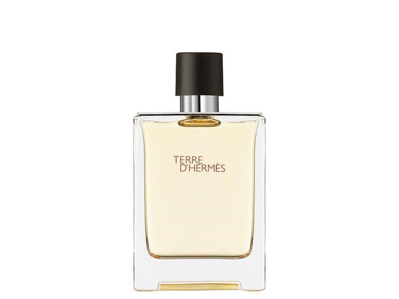 Hermès Terre d' EDT 100 ml