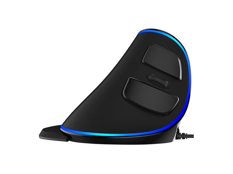 DeLUX M618PU mouse - Vertical mouse (Schwarz)