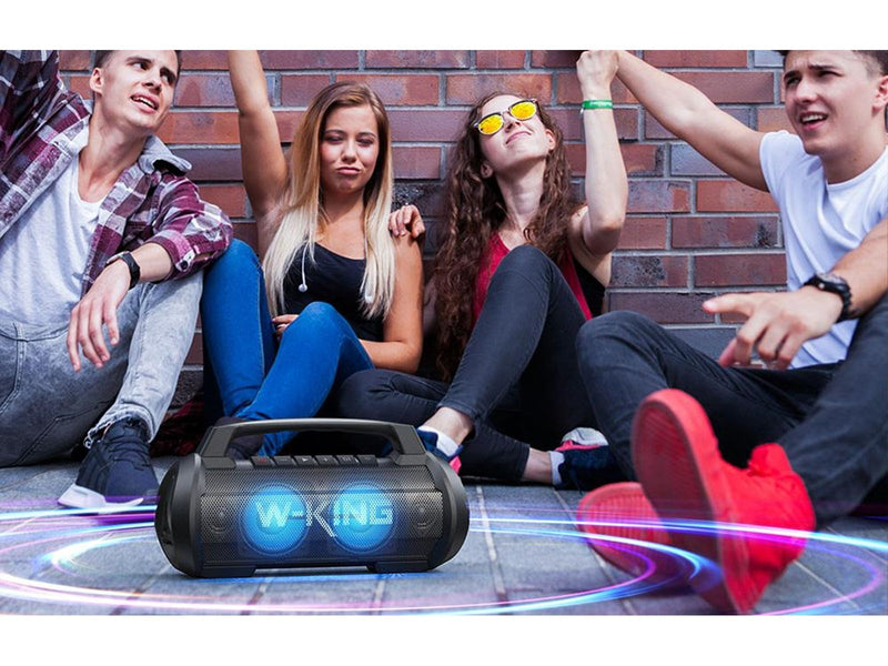 W-KING Wireless Bluetooth Speaker  D10 70W (black)