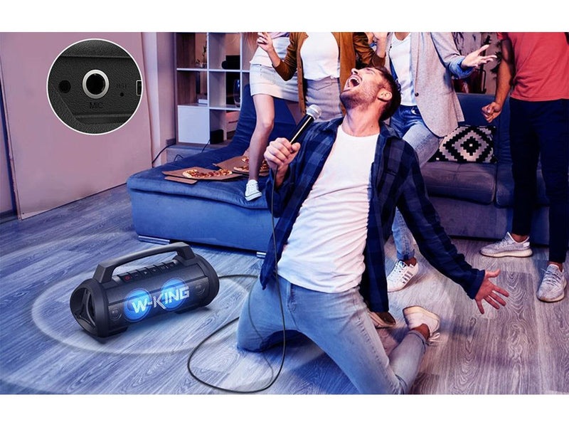 W-KING Wireless Bluetooth Speaker  D10 70W (black)