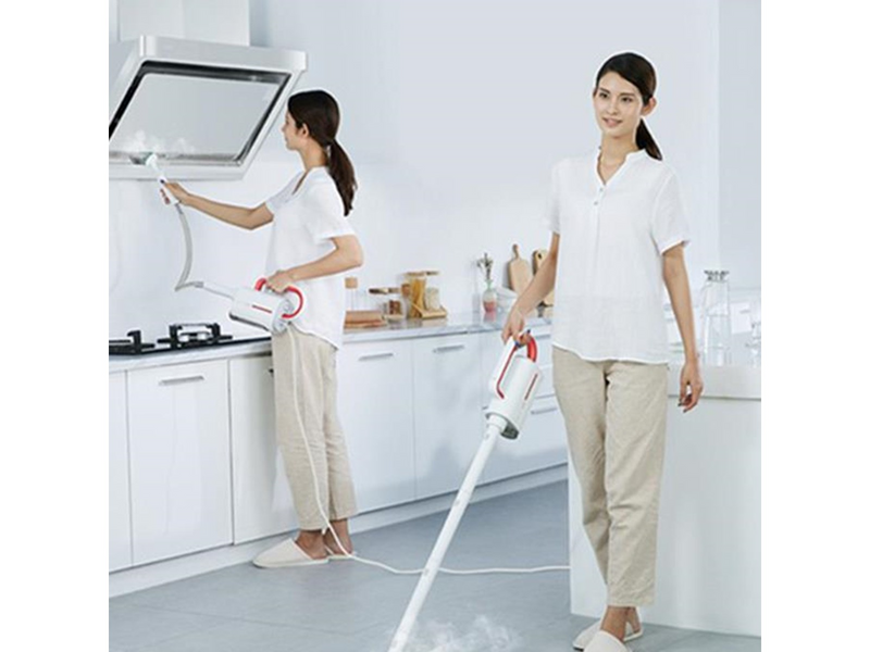 Deerma Dampfreiniger ZQ610 steam cleaner