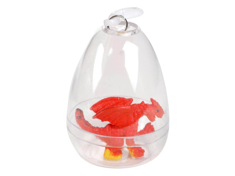 Toi-Toys World of Dinosaurs Keychain Grow Dino (Assorted)