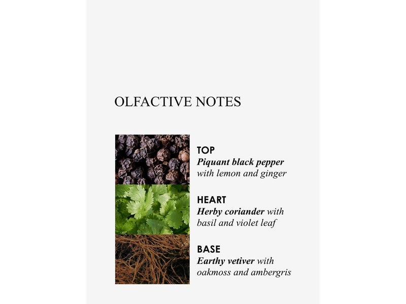 Molton Brown  Re-Charge Black Pepper Aroma Reeds 150 ml