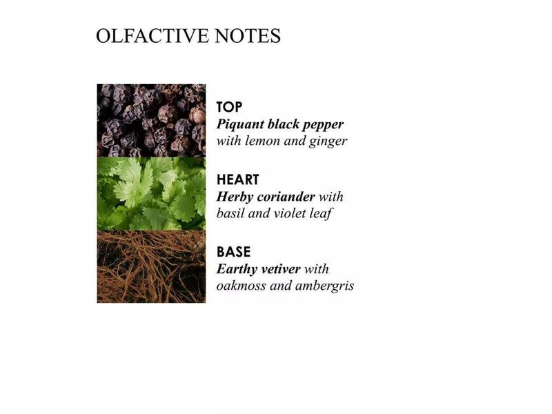 Molton Brown Re-Charge Black Pepper Aroma Reeds Refills 150 ml