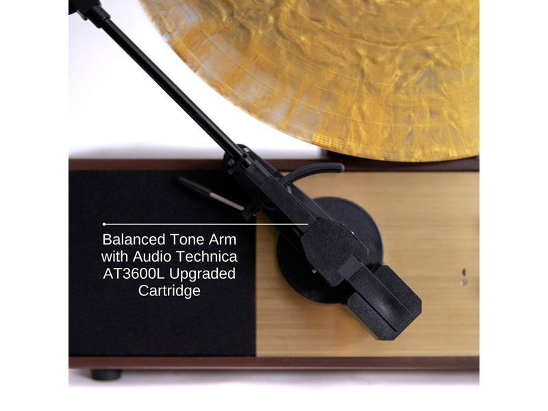 Fuse Audio REC - Audio Technica pick-up - Plattenspieler Braun