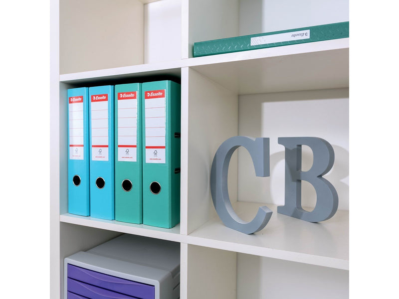 Esselte  Colour'Breeze Lever Arch File PP Green