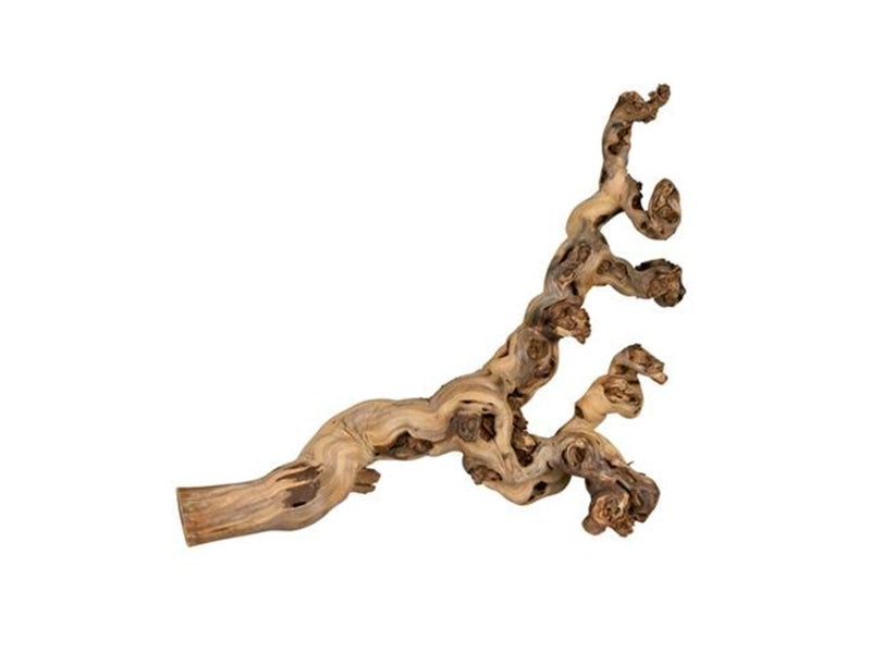Trixie Grape Vine water-blasted for birds and small animals 55-75cm