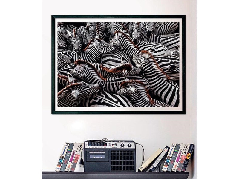 Clementoni Jigsaw Puzzle National Geographics - Zebra 1000 pcs. Boden