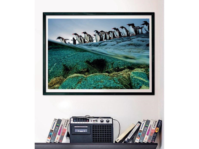 Clementoni Jigsaw Puzzle National Geographics - Penguin 1000pcs. Boden