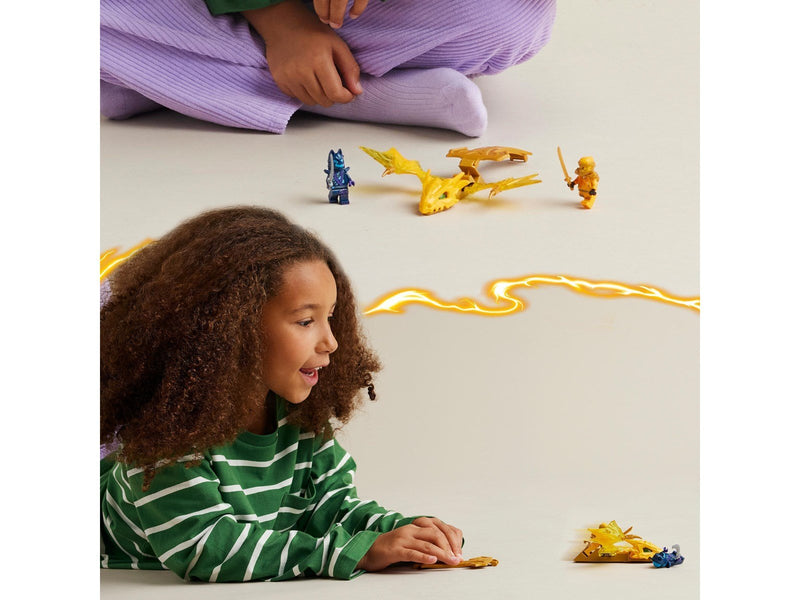 LEGO Ninjago 71803 Arins Drachengleiter