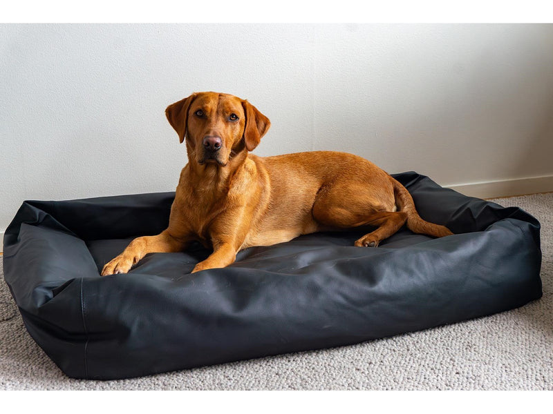 Active Canis Lounge Bed 80 X 100 cm black