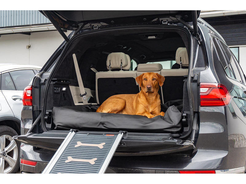 Active Canis Lounge Bed 70 X 85 cm black