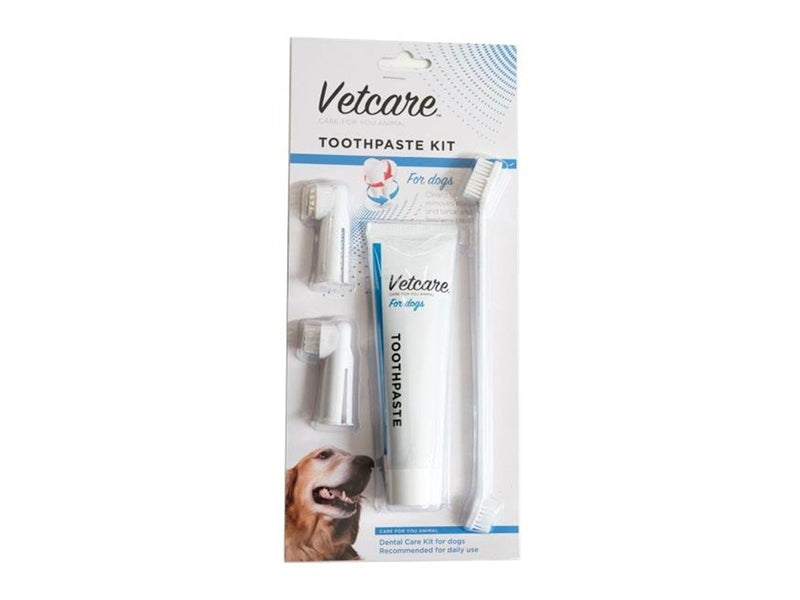 Vetcare Dental kit