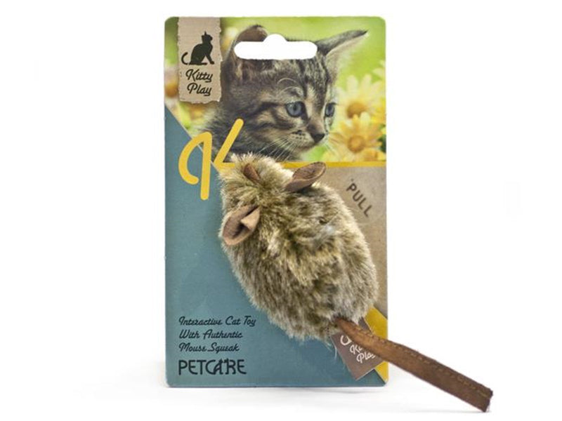 Kitty Play Squeaking Mouse