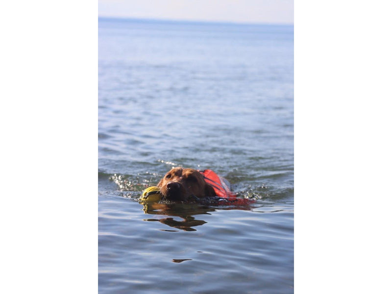Active Canis Life jacket M   15 kg