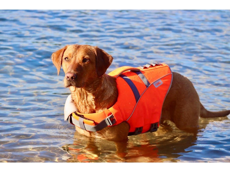 Active Canis Life jacket S   7.5 kg