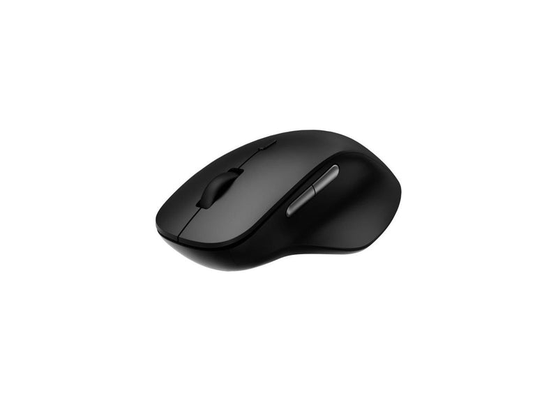 RAPOO M50 Plus - Maus (Schwarz)
