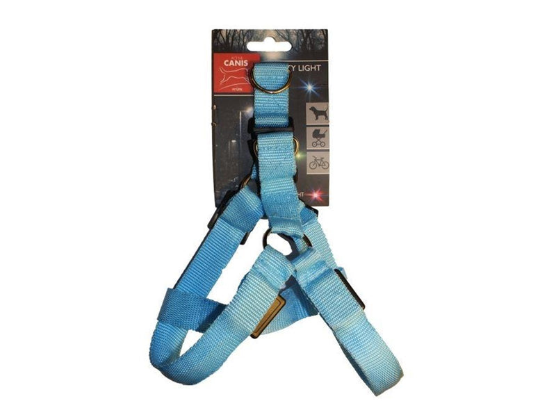 Active Canis Led Light Harness S Blue