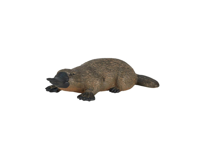 Mojo Wildlife Platypus