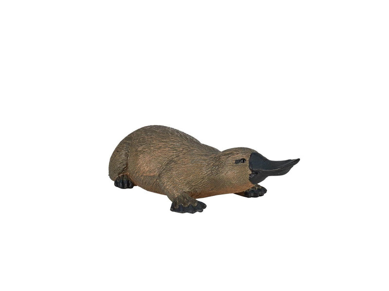 Mojo Wildlife Platypus