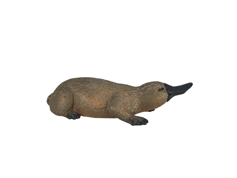 Mojo Wildlife Platypus