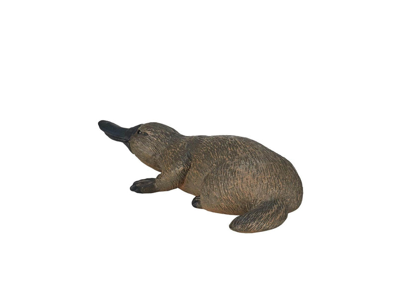 Mojo Wildlife Platypus