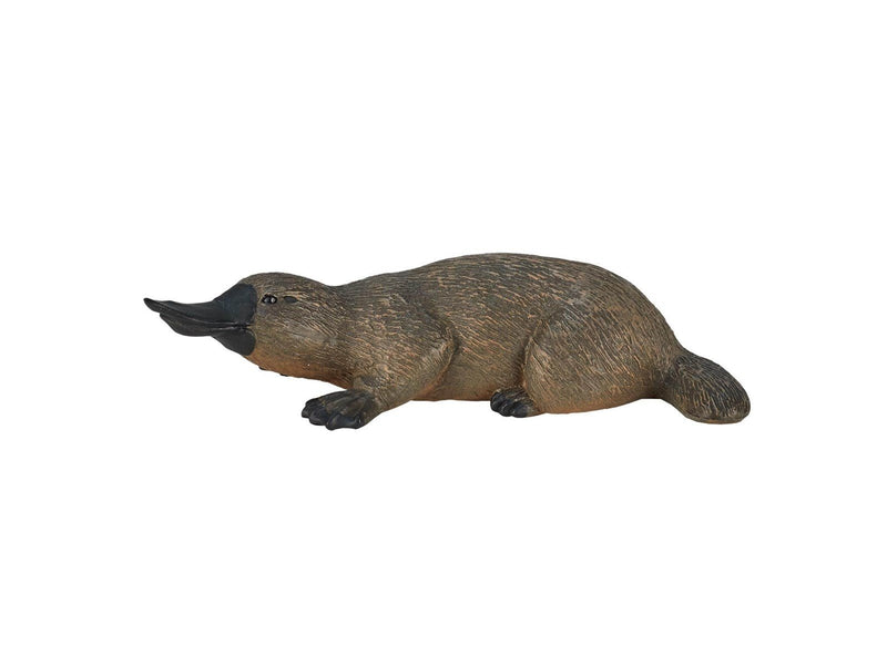 Mojo Wildlife Platypus